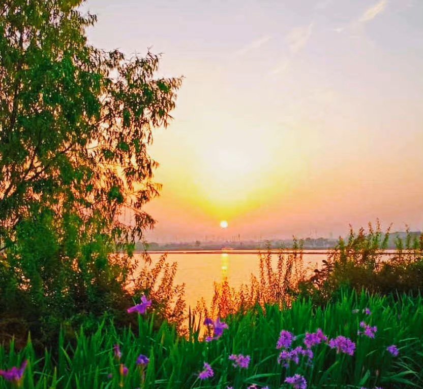 越来越多的 985 、 211 高校硕博生选择去小县城发展,如何看待这一现象?