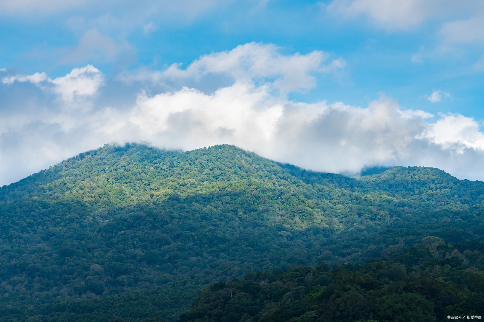 4名地质人员在哀牢山遭遇不测，他们为何没能走出哀牢山？