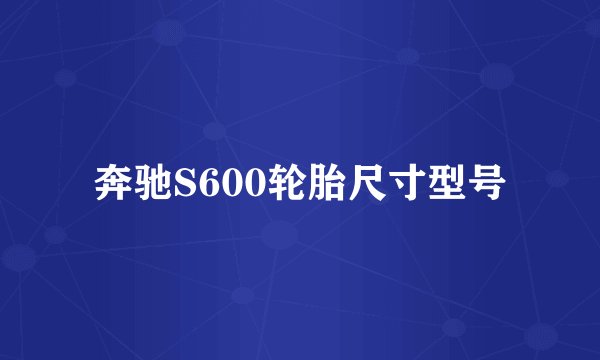奔驰S600轮胎尺寸型号