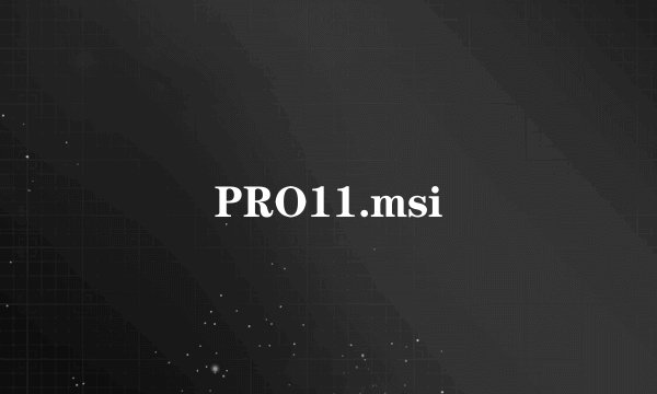 PRO11.msi