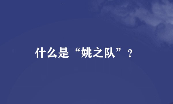什么是“姚之队”？