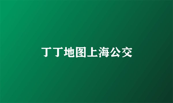 丁丁地图上海公交