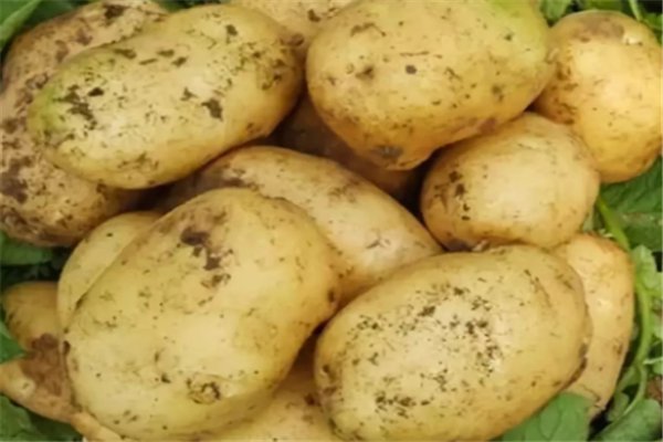 赣州男子学吃冻土豆后拔3颗牙，此男子的心情如何？