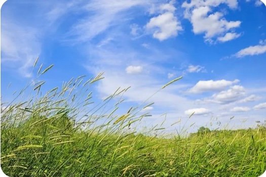 像风一样自由短句