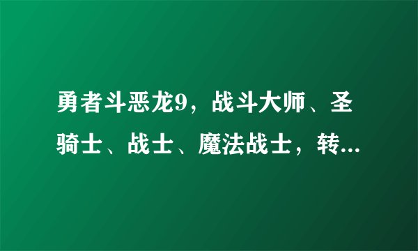 勇者斗恶龙9，战斗大师、圣骑士、战士、魔法战士，转成哪个比较好？