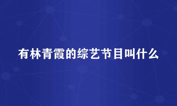 有林青霞的综艺节目叫什么