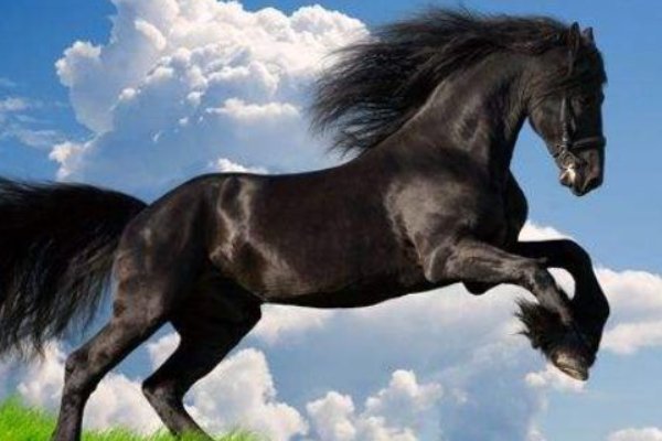 长驱直入什么肖