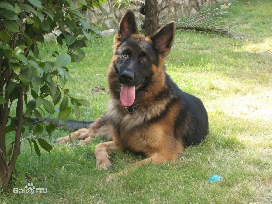 怎么与团购网合作，跟团购网合作流程怎么样？