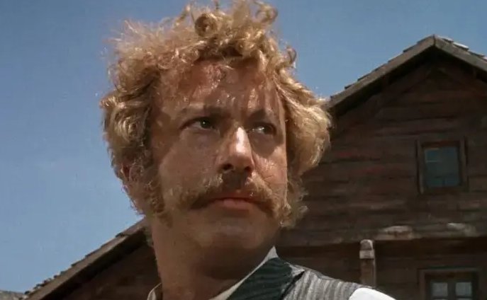 西部往事经典影评