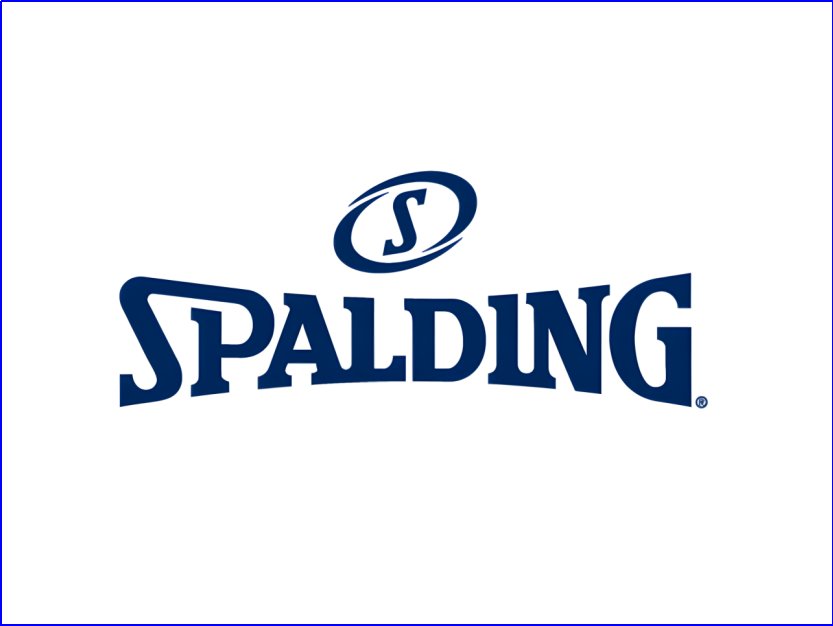 世界上最好的篮球