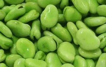 “河北蚕豆之乡”是在哪里?当地有什么特点?