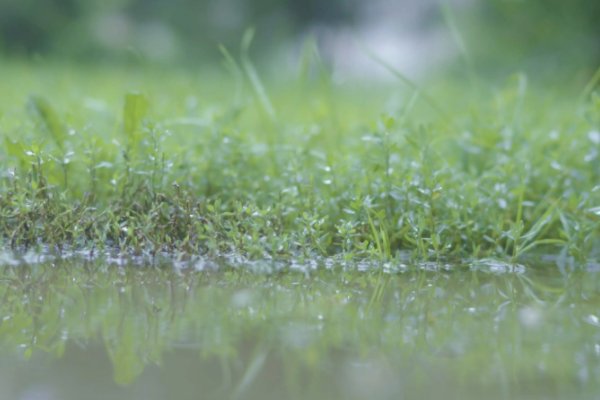 降雨量是怎么计算的公式是什么