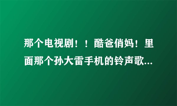 那个电视剧！！酷爸俏妈！里面那个孙大雷手机的铃声歌曲叫什么名字！？？
