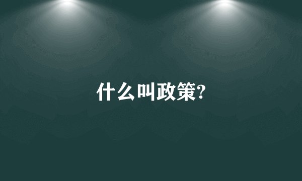 什么叫政策?