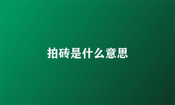 拍砖是什么意思