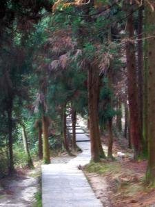 吴玉音的个人成就