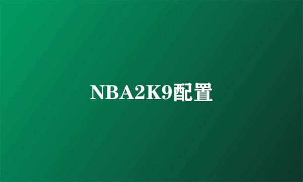 NBA2K9配置