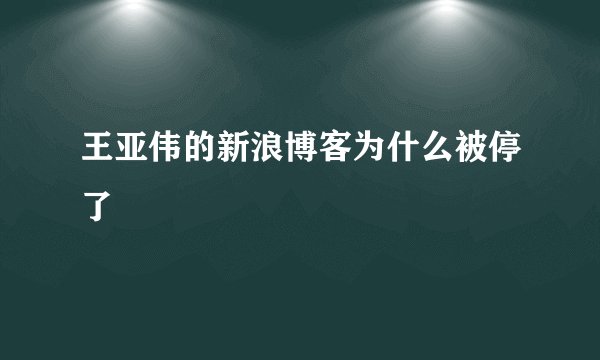 王亚伟的新浪博客为什么被停了