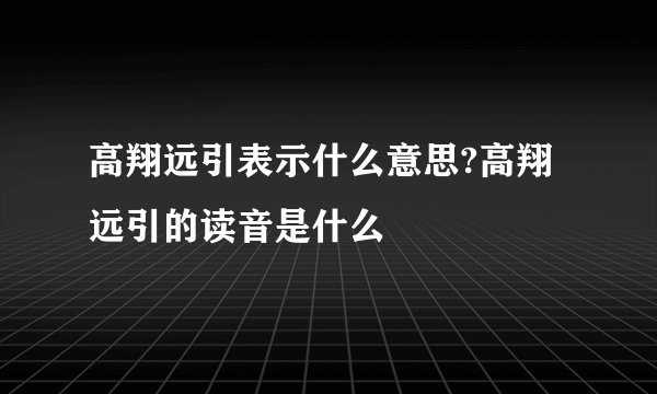 高翔远引表示什么意思?高翔远引的读音是什么