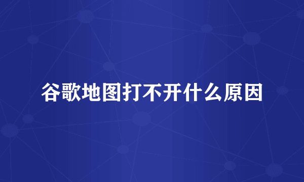 谷歌地图打不开什么原因