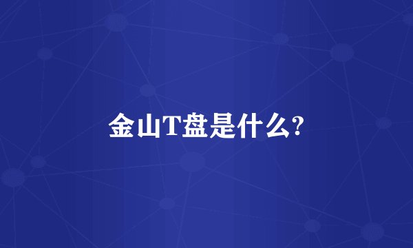 金山T盘是什么?