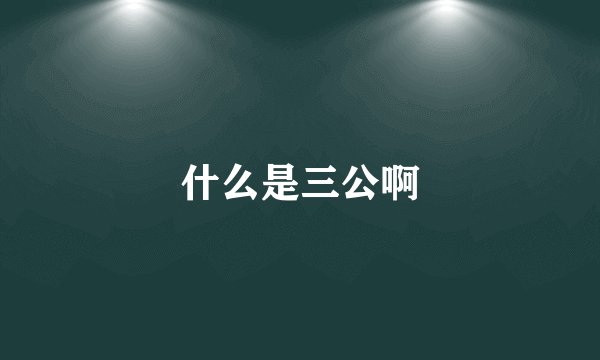 什么是三公啊