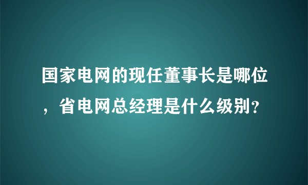 国家电网的现任董事长是哪位，省电网总经理是什么级别？