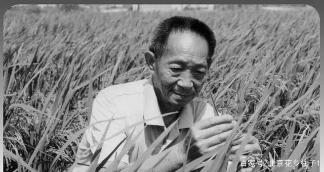 国士无双的袁隆平，儿孙都是做什么的？是否子承父业？