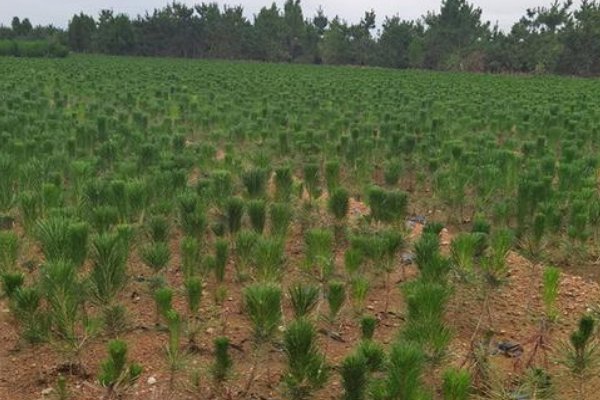 昨天是什么？今天是什么？明天又是什么？