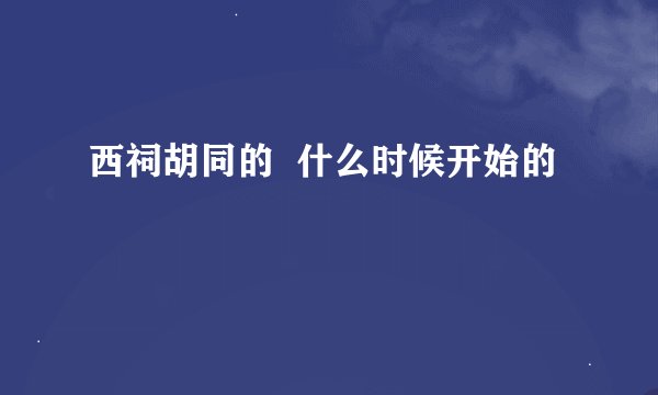 西祠胡同的  什么时候开始的