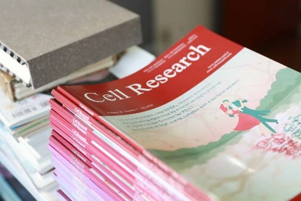 cell research是cell子刊嘛