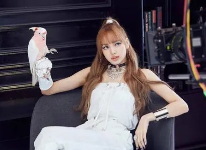 lisa是泰国和哪的混血