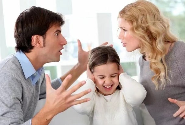 坦白的正确解释是什么