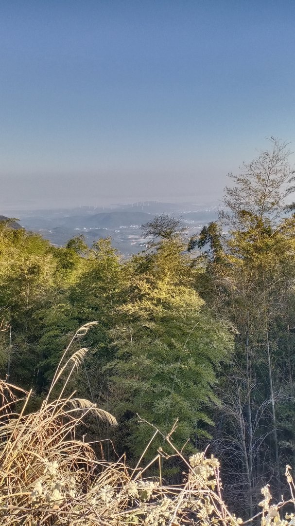 老公异性朋友很多，我该怎么办？