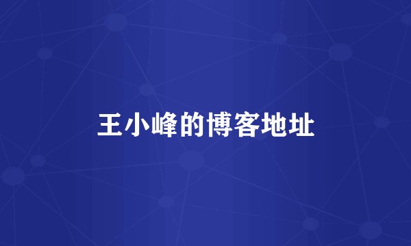 王小峰的博客地址