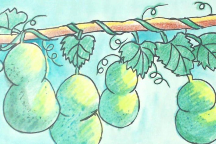 葫芦的生长过程怎么画