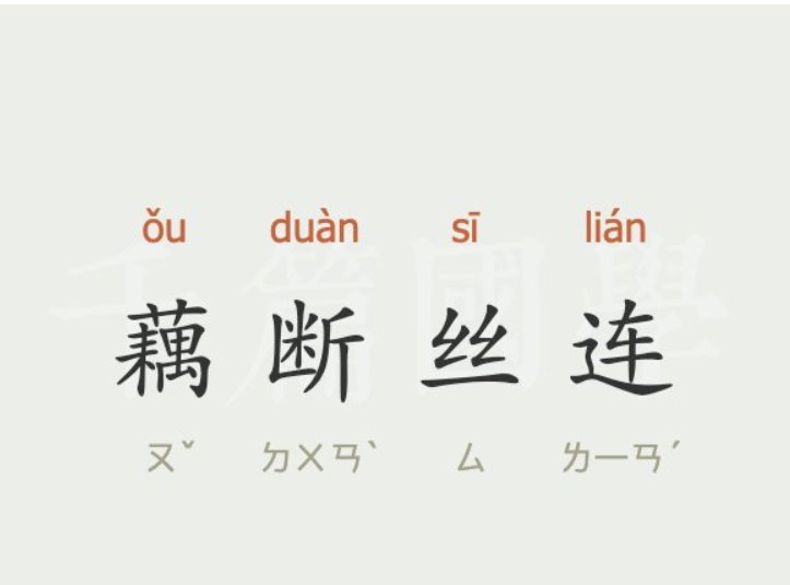 藕断丝连打一生肖