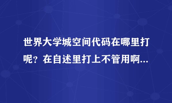 世界大学城空间代码在哪里打呢？在自述里打上不管用啊。。求解啊。。