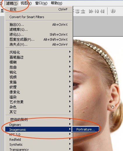 如何安装ps磨皮滤镜 portraiture