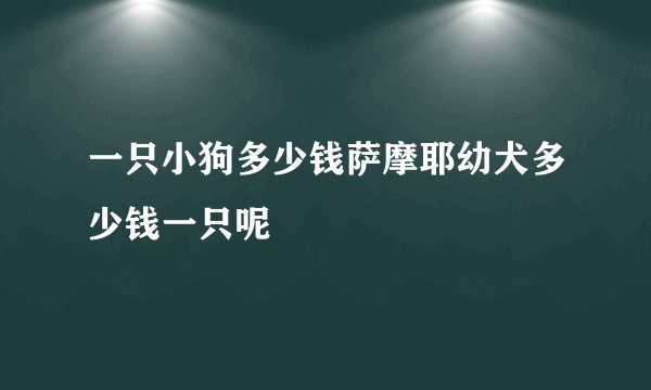 一只小狗多少钱萨摩耶幼犬多少钱一只呢