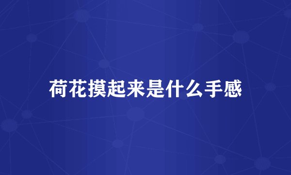 荷花摸起来是什么手感