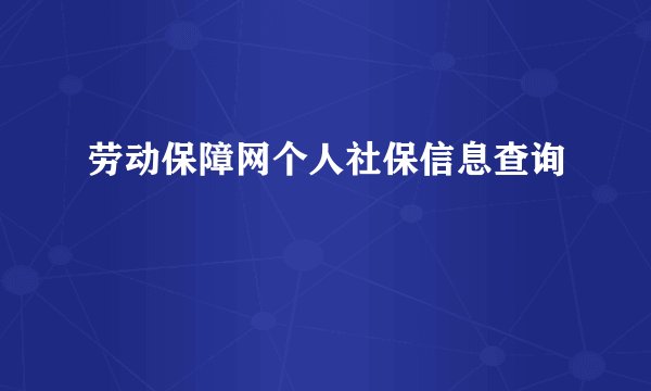 劳动保障网个人社保信息查询