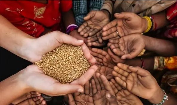 全球有多少人处于饥饿状态