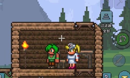 泰拉瑞亚雪地npc搭配