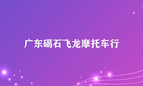 广东碣石飞龙摩托车行