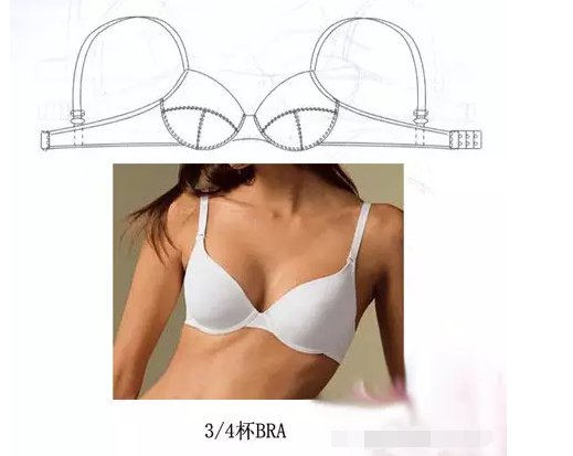 文胸的罩杯如何选择