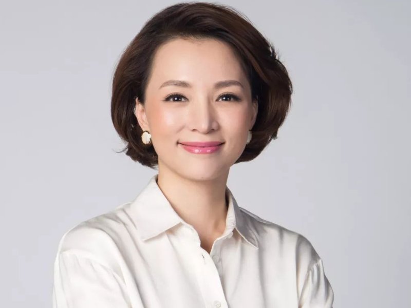 董卿主持的节目