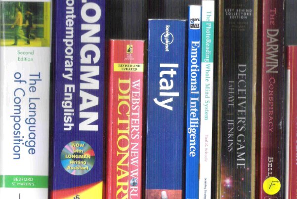 header是什么意思啊