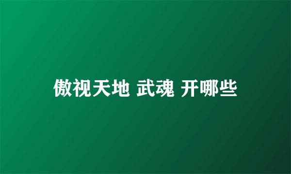 傲视天地 武魂 开哪些