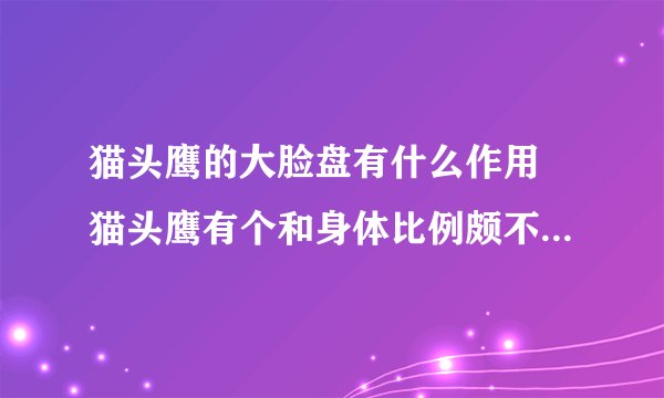 猫头鹰的大脸盘有什么作用 猫头鹰有个和身体比例颇不协调的大脸盘这是做什么用的